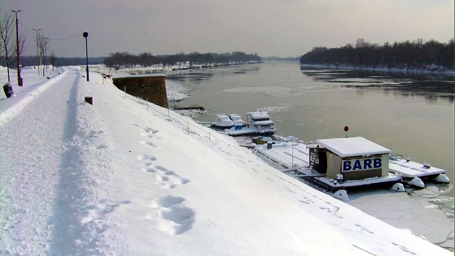 Zale�ena Sava 2012